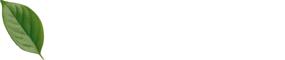 Natural Beauty 2026